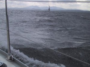 Fresh winds