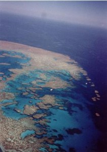 Barrier Reef