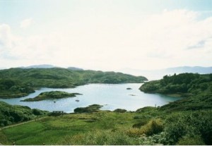 Arcaseid Mhor, Rona