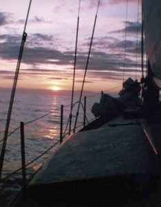 Moray Firth