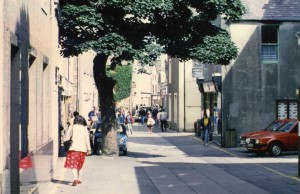 Big Tree