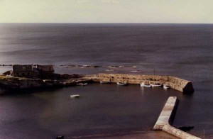 Cove Harbour